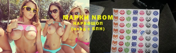 прущие грибы Арсеньев